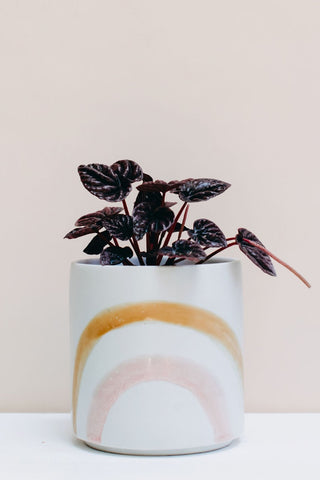 POTS & PLANTERS