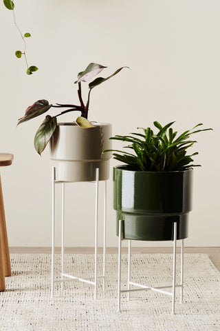 PLANT STANDS