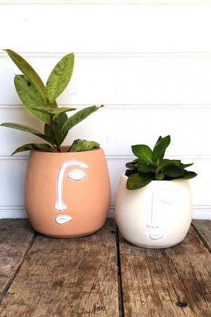 Terracotta Face Planter with white detail