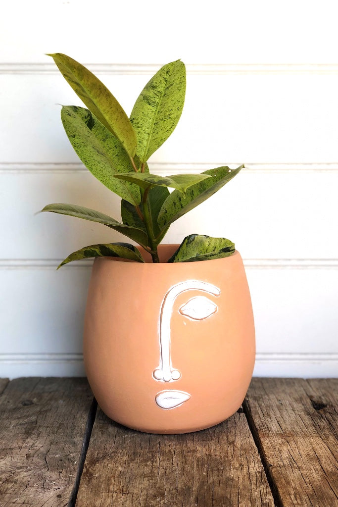 Terracotta Face Planter with white detail
