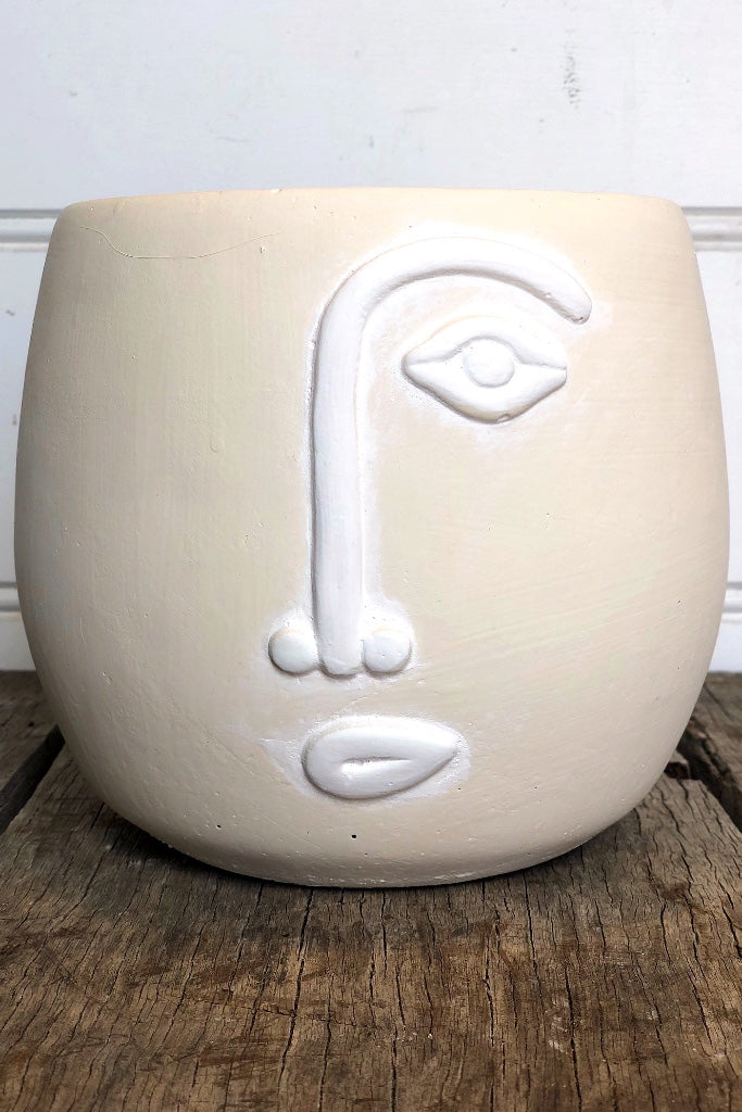Stone Face Planter with white detail